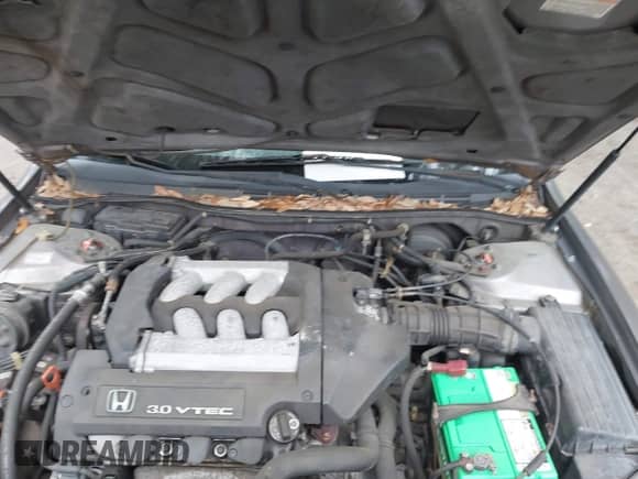 2000 Honda Accord LX с VIN 1HGCG1641YA002811, выставлен на аукционе IAAI как лот 42606402 с пробегом 217 212 миль миль и . История ставок и продаж доступна на DreamBid. Изображение 10.