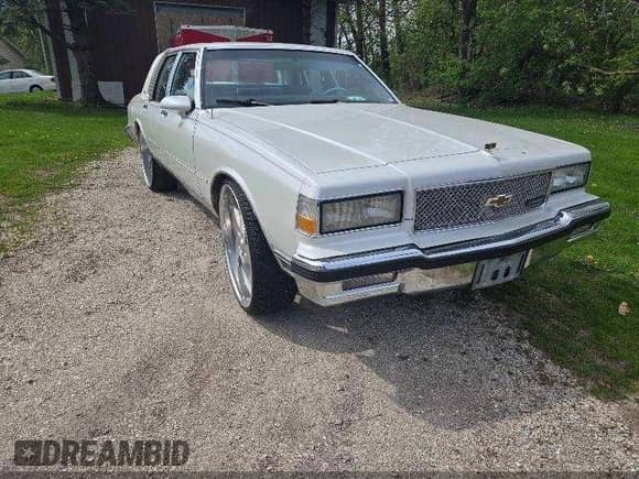1989 Chevrolet Caprice с VIN 1G1BU51E8KA111809, выставлен на аукционе IAAI как лот 42298235 с пробегом 89 139 миль миль и . История ставок и продаж доступна на DreamBid. Изображение 1.