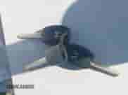 2003 Honda Accord EX z VIN JHMCM55623C068037, wystawiony jako IAAI lot #41216483 z przebiegiem 194 327 mil mil oraz . Historia ofert i sprzedaży dostępna na DreamBid. Obrazek 11.