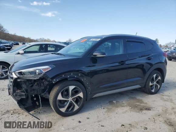2017 Hyundai Tucson Value with VIN KM8J3CA25HU328530, listed as a Copart auction lot 54379565 with 226,682 mi miles and Salvage title. Bid and sale history available at DreamBid. Image 1.