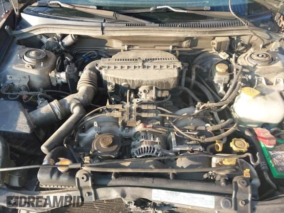 1999 Subaru Forester L with VIN JF1SF6352XH707734, listed as a IAAI auction lot 42783352 with 125,177 mi miles and . Bid and sale history available at DreamBid. Image 10.