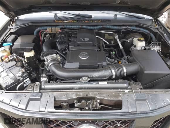 2010 Nissan Frontier SE with VIN 1N6AD0EV3AC436304, listed as a IAAI auction lot 42532271 with 305,162 mi miles and . Bid and sale history available at DreamBid. Image 10.