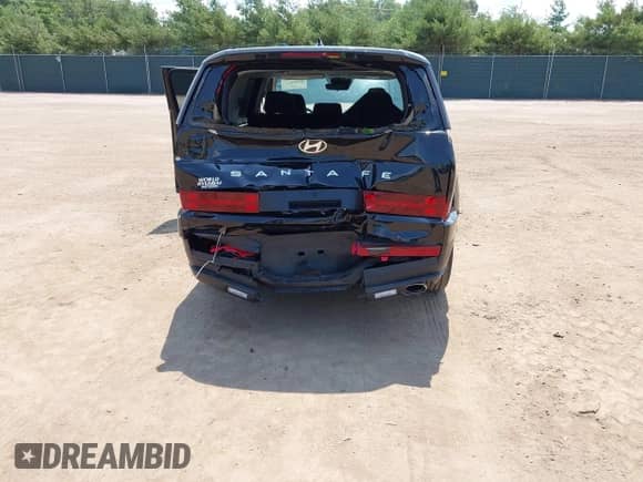 2025 Hyundai Santa Fe SE с VIN 5NMP14GLXSH135170, выставлен на аукционе IAAI как лот 42654631 с пробегом 3 881 миль миль и . История ставок и продаж доступна на DreamBid. Изображение 6.