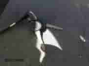 2004 Chevrolet Silverado 1500 with VIN 2GCEC19V141265666, listed as a IAAI auction lot 42490417 with Not provided miles and . Bid and sale history available at DreamBid. Image 11.