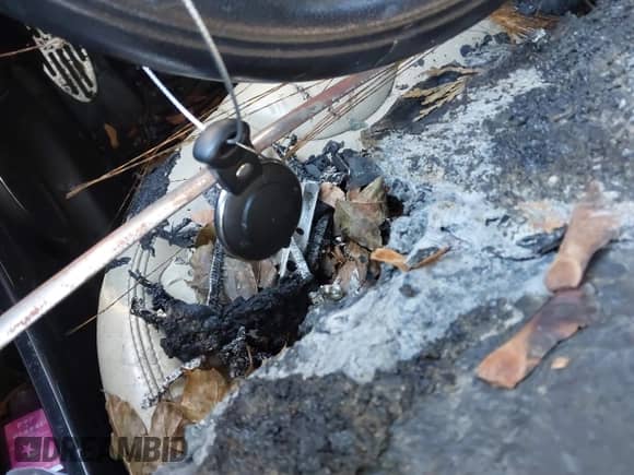 2011 MINI Hardtop with VIN WMWSU3C54BT094209, listed as a IAAI auction lot 43484435 with Not provided miles and . Bid and sale history available at DreamBid. Image 11.