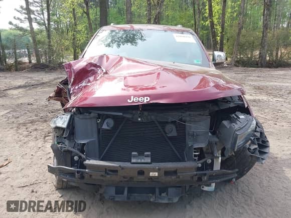 2019 Jeep Grand Cherokee Limited X with VIN 1C4RJFBGXKC627307, listed as a IAAI auction lot 42030376 with 78,147 mi miles and . Bid and sale history available at DreamBid. Image 18.