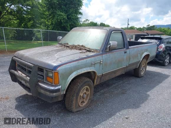 1987 Dodge Dakota with VIN 1B7GR14M9HS404759, listed as a IAAI auction lot 42513734 with 95,125 mi miles and . Bid and sale history available at DreamBid. Image 6.