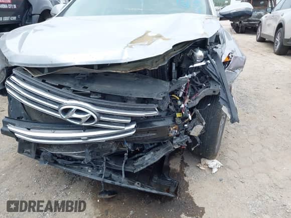 2017 Hyundai Santa Fe SE Ultimate with VIN KM8SR4HF0HU186413, listed as a IAAI auction lot 43181856 with Not provided miles and . Bid and sale history available at DreamBid. Image 19.
