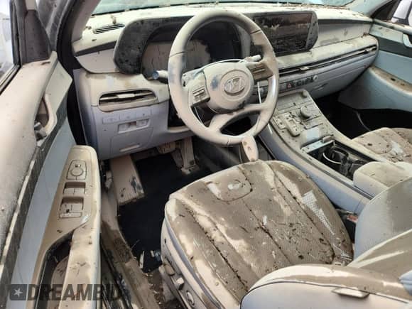 2025 Hyundai Palisade SEL с VIN KM8R2DGE7SU883953, выставлен на аукционе Copart как лот 69276385 с пробегом Не указан миль и На запчасти • Non repairable. История ставок и продаж доступна на DreamBid. Изображение 8.