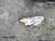 2015 Nissan Altima S z VIN 1N4AL3AP8FC178955, wystawiony jako IAAI lot #41870888 z przebiegiem 196 676 mil mil oraz . Historia ofert i sprzedaży dostępna na DreamBid. Obrazek 12.