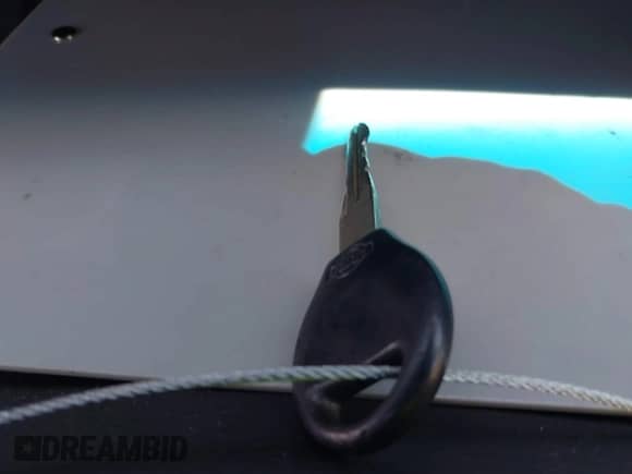 1999 Nissan Pathfinder XE z VIN JN8AR05Y4XW321446, wystawiony jako IAAI lot #42689685 z przebiegiem 184 918 mil mil oraz . Historia ofert i sprzedaży dostępna na DreamBid. Obrazek 11.