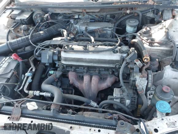 1996 Honda Accord LX with VIN 1HGCD563XTA060237, listed as a IAAI auction lot 42828626 with 110,927 mi miles and . Bid and sale history available at DreamBid. Image 10.