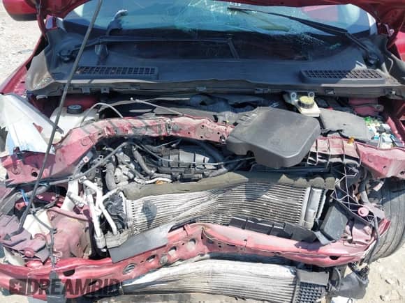 2014 Ford Escape SE with VIN 1FMCU0GXXEUC10668, listed as a IAAI auction lot 42972752 with 171,827 mi miles and . Bid and sale history available at DreamBid. Image 10.