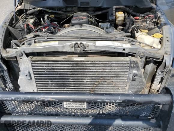 2009 Dodge RAM with VIN 3D7MX39L09G520564, listed as a Copart auction lot 70392225 with 287,331 mi miles and Clean title. Bid and sale history available at DreamBid. Image 11.