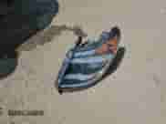 2021 Ram ProMaster Cargo с VIN 3C6LRVNG8ME506671, выставлен на аукционе Copart как лот 61089325 с пробегом 41 881 миль миль и Списание • Salvage title. История ставок и продаж доступна на DreamBid. Изображение 12.