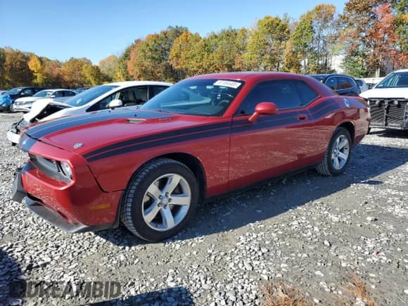 2009 Dodge Challenger R/T with VIN 2B3LJ54T69H510133, listed as a Copart auction lot 87464485 with 116,065 mi miles and Clean title. Bid and sale history available at DreamBid. Image 1.