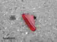 2010 MINI Hardtop S с VIN WMWMF7C53ATZ69109, выставлен на аукционе Copart как лот 86859085 с пробегом 85 876 миль миль и Списание • Salvage title. История ставок и продаж доступна на DreamBid. Изображение 13.