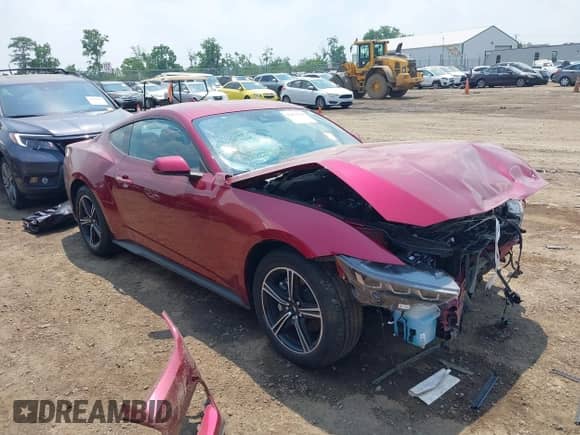2025 Ford Mustang EcoBoost with VIN 1FA6P8TH9S5101538, listed as a IAAI auction lot 42424384 with 3,203 mi miles and . Bid and sale history available at DreamBid. Image 1.
