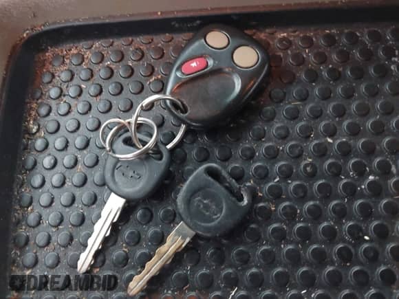 2004 Chevrolet Silverado 1500 Z71 z VIN 2GCEK13T941322075, wystawiony jako IAAI lot #43544851 z przebiegiem 249 015 mil mil oraz . Historia ofert i sprzedaży dostępna na DreamBid. Obrazek 11.