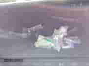 2019 Ram 1500 Rebel with VIN 1C6RRFEG1KN831963, listed as a IAAI auction lot 43116060 with 120,825 mi miles and . Bid and sale history available at DreamBid. Image 12.