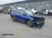 2025 Subaru Forester z VIN JF2SLDFC6SH427861, wystawiony jako IAAI lot #43348588 z przebiegiem Nie podano mil oraz . Historia ofert i sprzedaży dostępna na DreamBid. Obrazek 1.