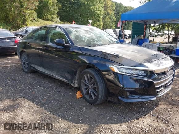 2021 Honda Accord EX-L z VIN 1HGCV1F50MA044878, wystawiony jako IAAI lot #43234225 z przebiegiem 33 817 mil mil oraz . Historia ofert i sprzedaży dostępna na DreamBid. Obrazek 13.