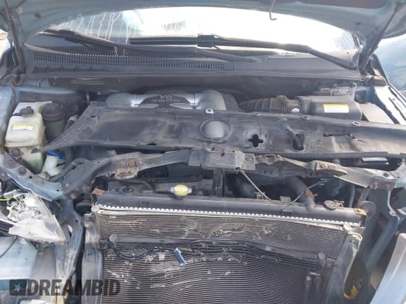 2007 Hyundai Entourage GLS with VIN KNDMC233276030277, listed as a IAAI auction lot 43347742 with 194,598 mi miles and . Bid and sale history available at DreamBid. Image 10.