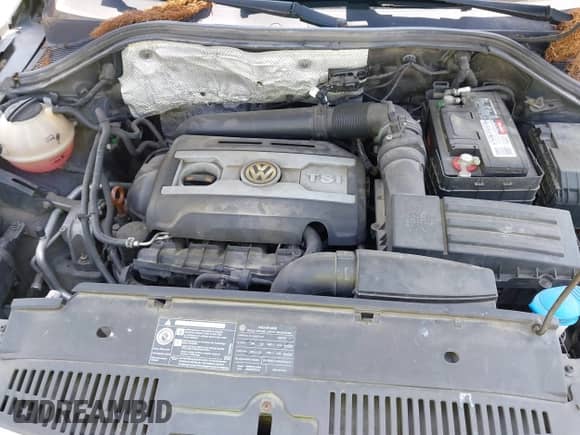 2009 Volkswagen Tiguan S с VIN WVGAV75N39W003418, выставлен на аукционе IAAI как лот 42228870 с пробегом 173 548 миль миль и . История ставок и продаж доступна на DreamBid. Изображение 10.