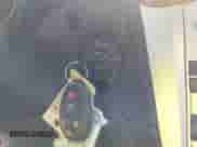 2010 Chevrolet Malibu 2LT с VIN 1G1ZD5E71AF119908, выставлен на аукционе IAAI как лот 42688063 с пробегом 41 626 миль миль и . История ставок и продаж доступна на DreamBid. Изображение 11.