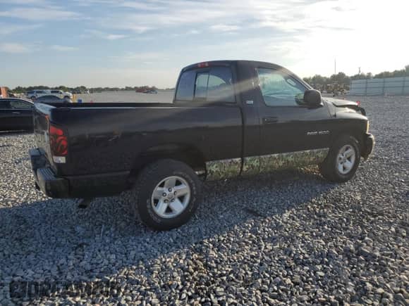 2002 Dodge 1500 z VIN 1D7HA16N22J244325, wystawiony jako Copart lot #66721725 z przebiegiem 219 588 mil mil oraz Szkoda całkowita • Salvage title. Historia ofert i sprzedaży dostępna na DreamBid. Obrazek 3.