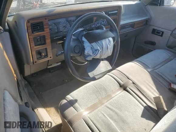 1994 Dodge Dakota SLT z VIN 1B7FL26X6RS616630, wystawiony jako Copart lot #67414375 z przebiegiem 164 960 mil mil oraz Szkoda całkowita • Salvage title. Historia ofert i sprzedaży dostępna na DreamBid. Obrazek 8.