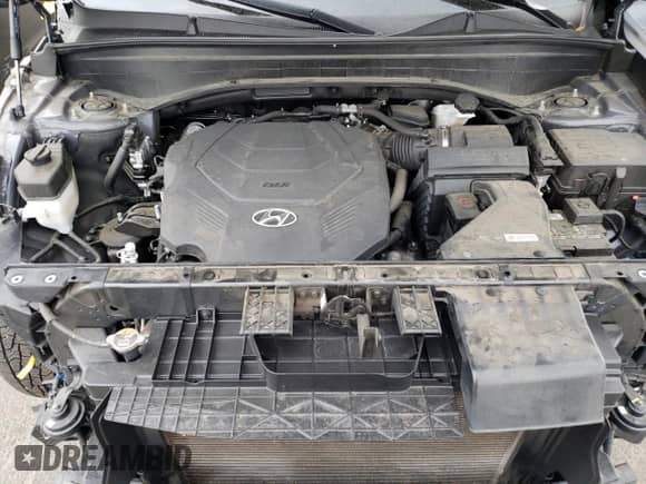 2020 Hyundai Palisade SEL с VIN KM8R3DHE7LU095087, выставлен на аукционе Copart как лот 71005845 с пробегом 56 501 миль миль и Списание • Salvage title. История ставок и продаж доступна на DreamBid. Изображение 11.