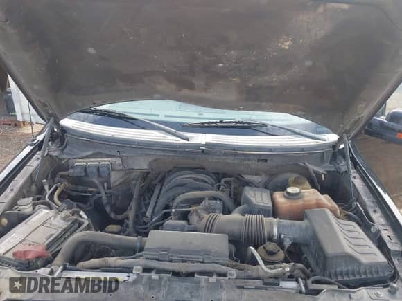 2009 Ford F-150 XL with VIN 1FTRW12869FA90411, listed as a IAAI auction lot 42533298 with 167,041 mi miles and . Bid and sale history available at DreamBid. Image 10.