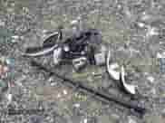 2020 Nissan Pathfinder SV с VIN 5N1DR2BMXLC581878, выставлен на аукционе IAAI как лот 43184842 с пробегом 29 446 миль миль и . История ставок и продаж доступна на DreamBid. Изображение 12.