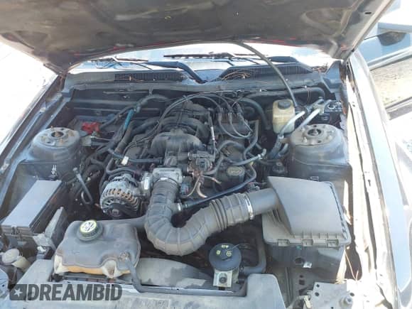 2008 Ford Mustang Deluxe with VIN 1ZVHT80N285109141, listed as a IAAI auction lot 42285331 with 149,126 mi miles and . Bid and sale history available at DreamBid. Image 10.