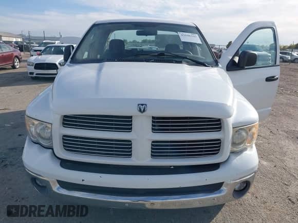 2003 Dodge 1500 ST z VIN 1D7HA18NX3J643983, wystawiony jako IAAI lot #43546343 z przebiegiem 175 450 mil mil oraz . Historia ofert i sprzedaży dostępna na DreamBid. Obrazek 6.