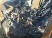 2016 Ram 1500 Outdoorsman with VIN 1C6RR7GT5GS120162, listed as a Copart auction lot 73156744 with Not provided miles and Non repairable. Bid and sale history available at DreamBid. Image 7.