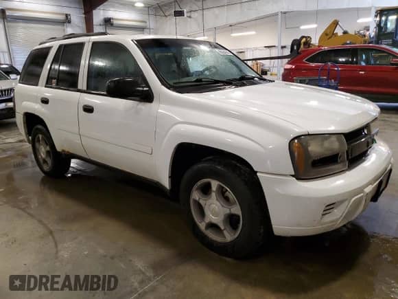 2008 Chevrolet TrailBlazer 1LT с VIN 1GNDT13S182240189, выставлен на аукционе Copart как лот 66264545 с пробегом 185 180 миль миль и Списание • Salvage title. История ставок и продаж доступна на DreamBid. Изображение 4.