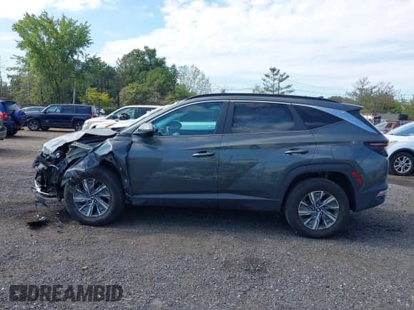 2022 Hyundai Tucson Blue with VIN KM8JBCA19NU020489, listed as a IAAI auction lot 43134009 with 45,333 mi miles and . Bid and sale history available at DreamBid. Image 14.