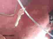 1992 Chevrolet Caprice с VIN 1G1BL53E5NR137046, выставлен на аукционе IAAI как лот 43079497 с пробегом 250 421 миль миль и . История ставок и продаж доступна на DreamBid. Изображение 11.