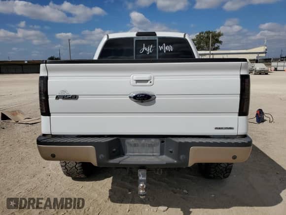 2013 Ford F-150 XLT with VIN 1FTFW1EF0DKE19536, listed as a Copart auction lot 82350805 with 229,324 mi miles and Clean title. Bid and sale history available at DreamBid. Image 6.