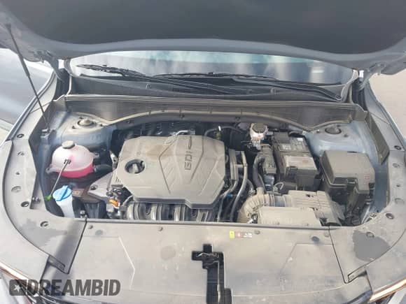 2025 Kia Sorento S with VIN 5XYRL4JC4SG319719, listed as a IAAI auction lot 43106596 with 11,636 mi miles and . Bid and sale history available at DreamBid. Image 10.