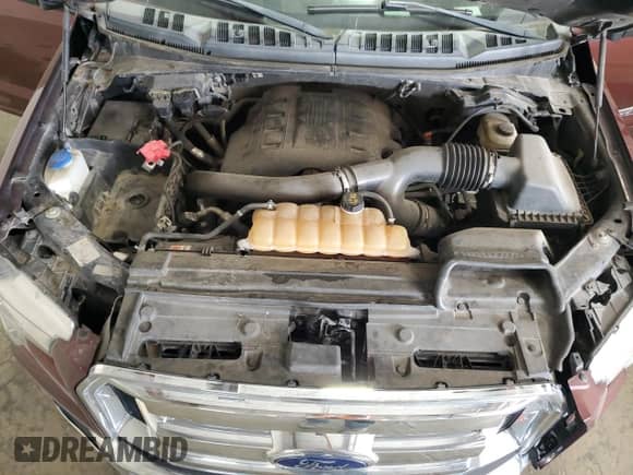 2016 Ford F-150 XLT with VIN 1FTEW1EGXGKE19892, listed as a Copart auction lot 84057245 with 188,116 mi miles and Clean title. Bid and sale history available at DreamBid. Image 11.