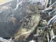 2016 Chevrolet Silverado 2500HD LTZ с VIN 1GC1KWE84GF152810, выставлен на аукционе Copart как лот 83862715 с пробегом Не указан миль и Списание • Salvage title. История ставок и продаж доступна на DreamBid. Изображение 7.