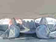 2017 Honda Accord EX-L z VIN JHMCR6F59HC029966, wystawiony jako Copart lot #82394885 z przebiegiem 154 664 mil mil oraz Szkoda całkowita • Salvage title. Historia ofert i sprzedaży dostępna na DreamBid. Obrazek 14.