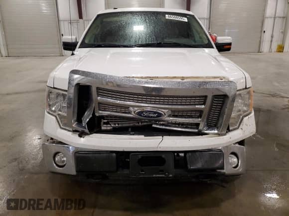 2010 Ford F-150 XL z VIN 1FTFX1EV5AKB85958, wystawiony jako Copart lot #66508595 z przebiegiem 136 510 mil mil oraz Szkoda całkowita • Salvage title. Historia ofert i sprzedaży dostępna na DreamBid. Obrazek 5.