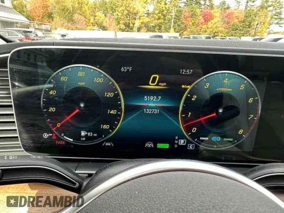 2022 Mercedes-Benz GLS 450 with VIN 4JGFF5KE1NA670054, listed as a Copart auction lot 87095255 with 132,731 mi miles and Clean title. Bid and sale history available at DreamBid. Image 8.