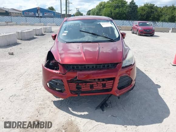 2014 Ford Escape SE with VIN 1FMCU0GX5EUC16474, listed as a IAAI auction lot 40276119 with 112,714 mi miles and . Bid and sale history available at DreamBid. Image 11.