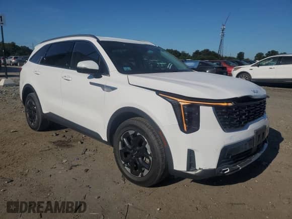 2024 Kia Sorento S with VIN 5XYRLDJC1RG292179, listed as a Copart auction lot 71865265 with 28,973 mi miles and Salvage title. Bid and sale history available at DreamBid. Image 4.