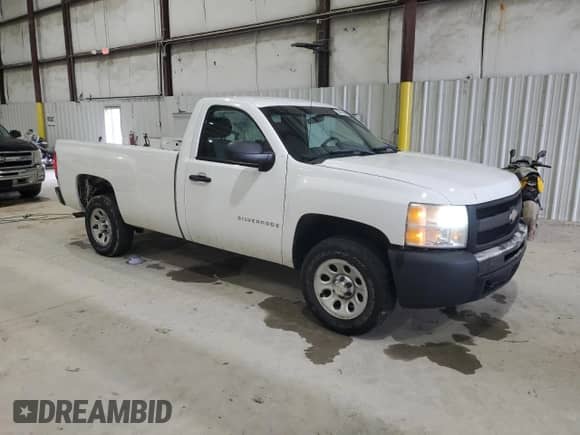 2009 Chevrolet Silverado 1500 Work Truck with VIN 1GCEC14X79Z208587, listed as a Copart auction lot 58415955 with 248,450 mi miles and Non repairable. Bid and sale history available at DreamBid. Image 4.